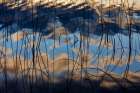 Autumn reflections in Spencer Lake near Whitefish-Montana-USA Art Print